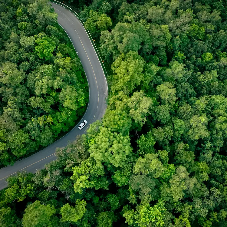 自然の中の曲がりくねった道路を走行する車両の俯瞰図